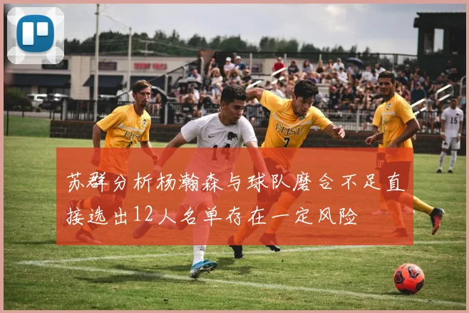 苏群分析杨瀚森与球队磨合不足直接选出12人名单存在一定风险